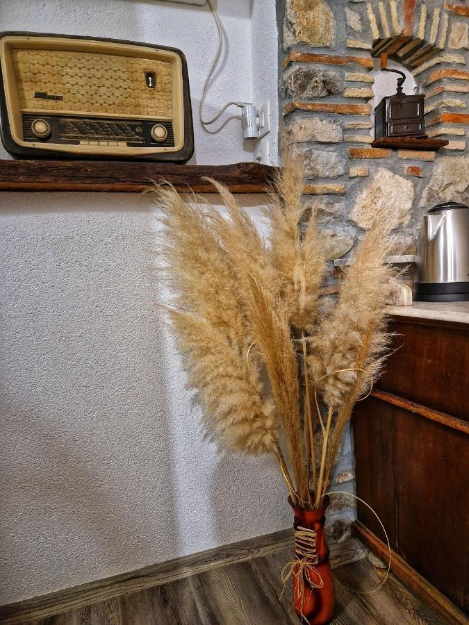 Villa Casa Luana à Roč Extérieur photo