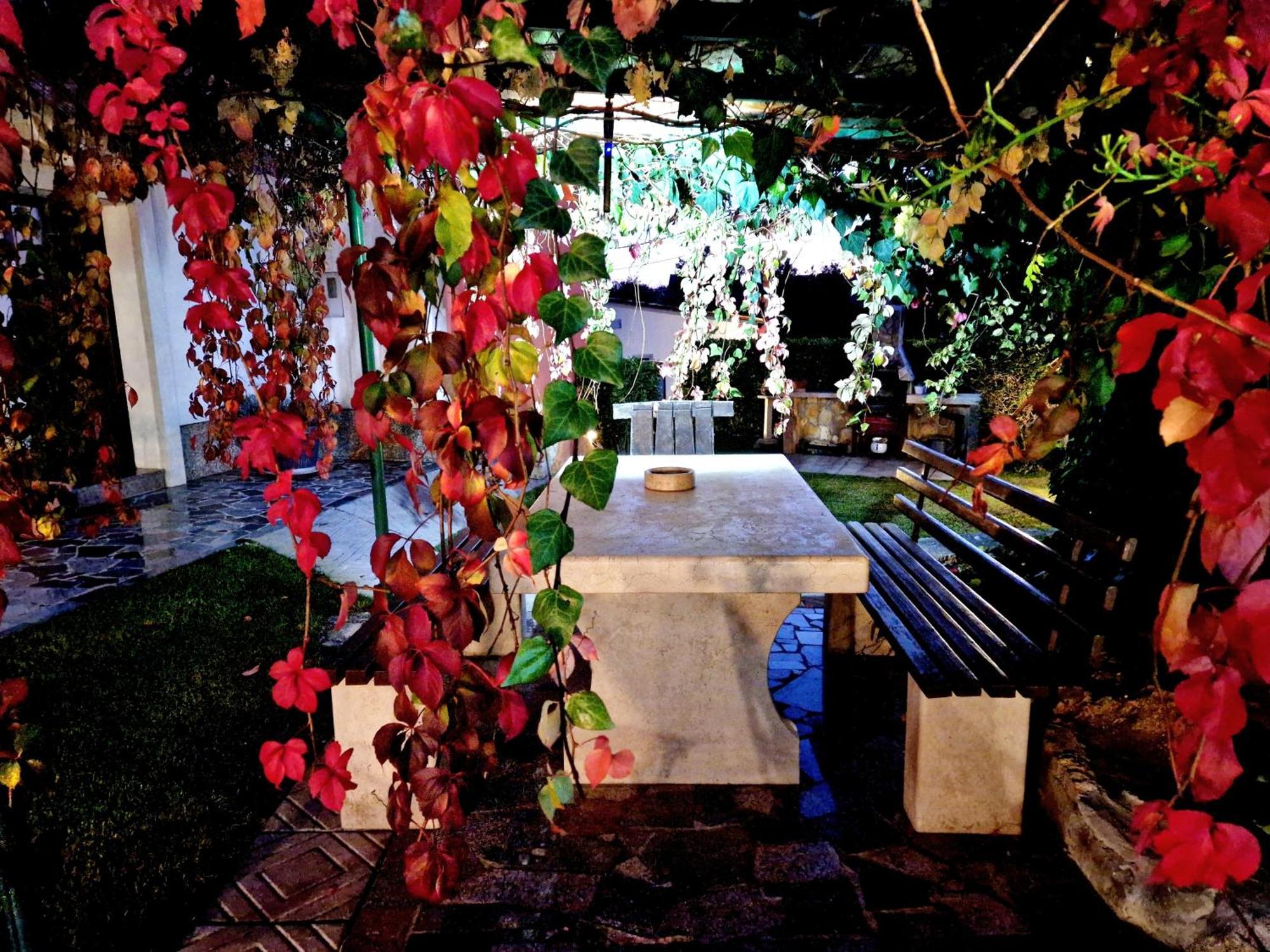 Villa Casa Luana à Roč Extérieur photo